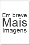 Imagem de Teste